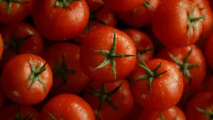 polskie pomidory