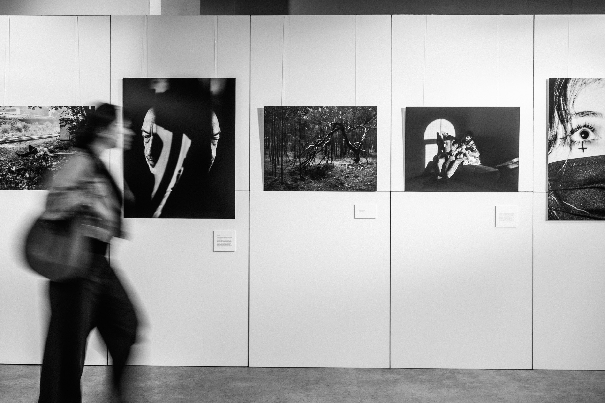 Autentyczność w fotografii. Czy można wygrać ze sztuczną inteligencją? 11